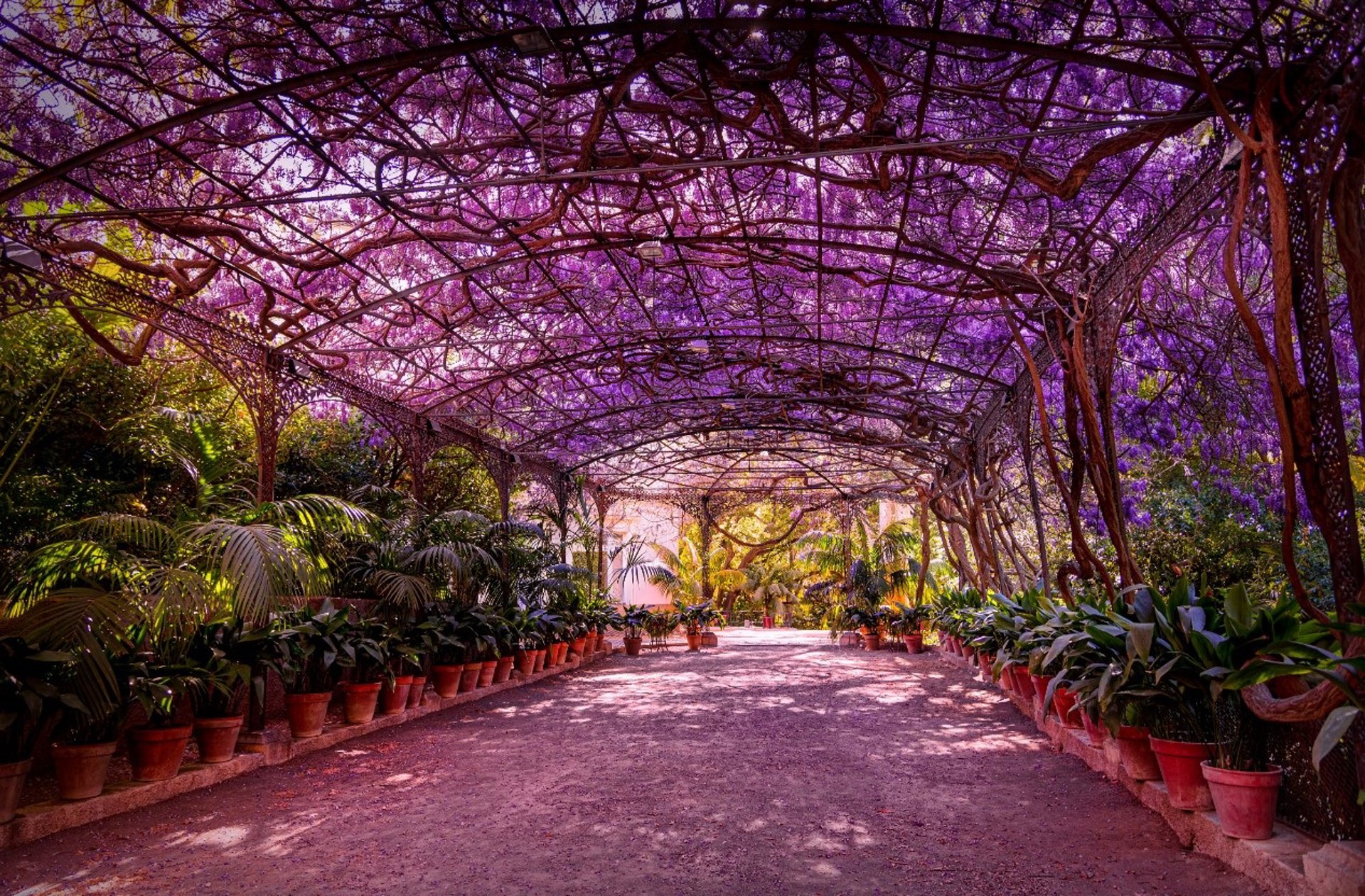 El Jardín Botánico Histórico La Concepción incorpora un servicio gratuito de audioguía para sus visitantes