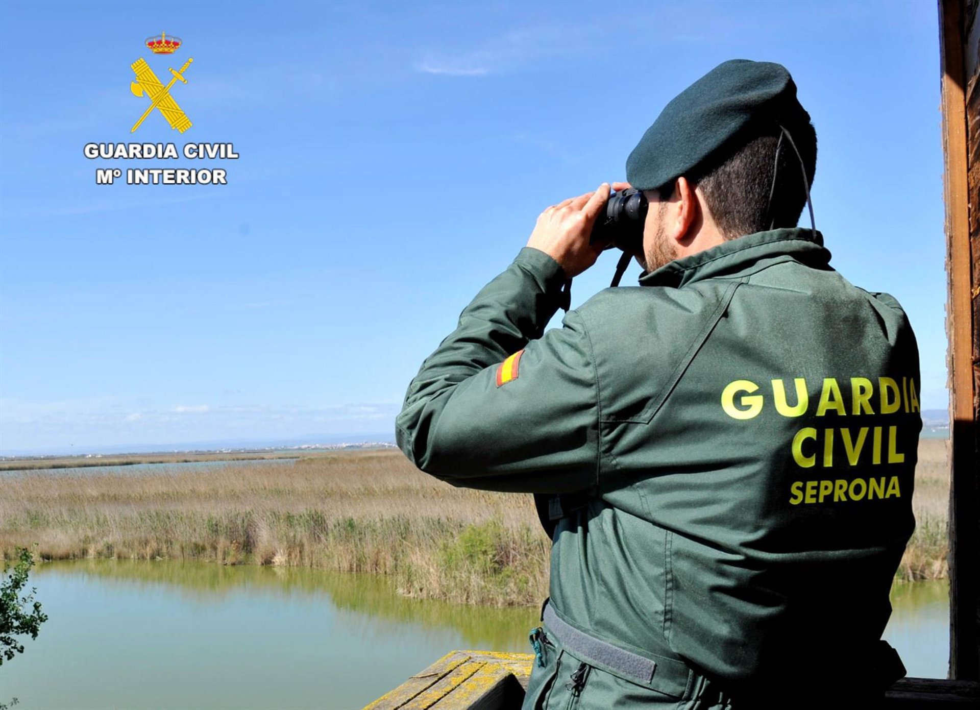 Investigada una persona tras intervenir más de 200 especímenes de corales y otras especies marinas