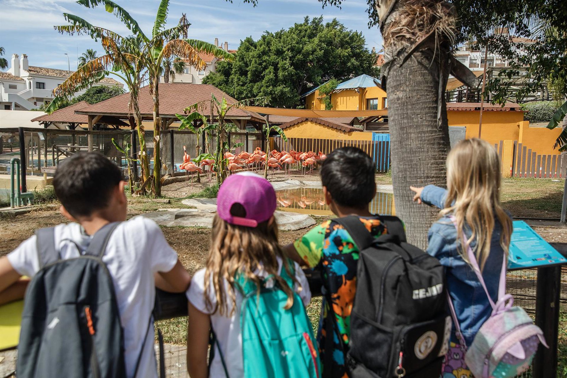 Los parques Selwo organizan sus campamentos para escolares en las vacaciones de Semana Santa