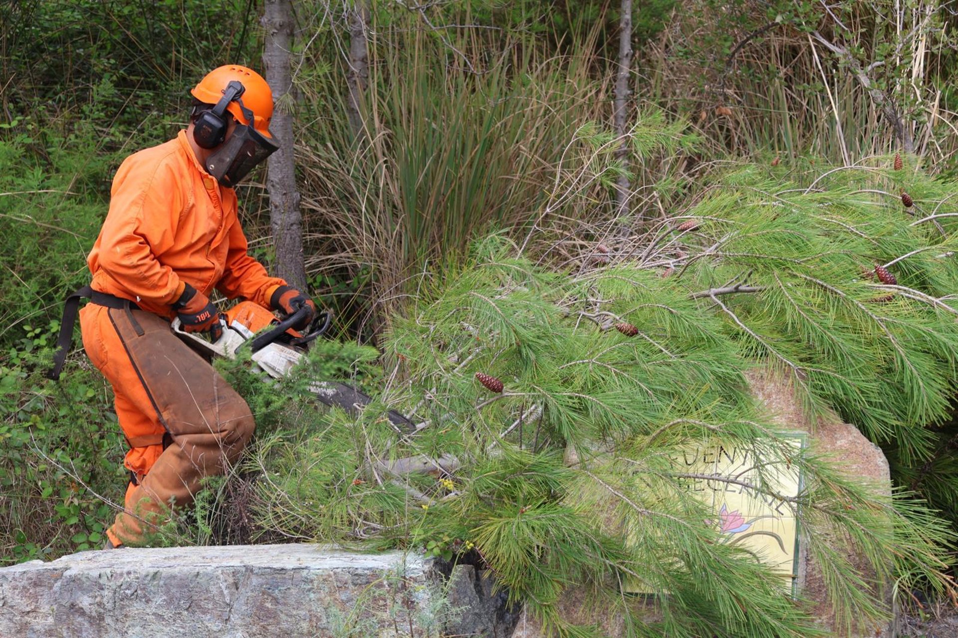 Mijas desarrolla labores de tratamientos silvícolas, desbroces y podas en la sierra para prevenir incendios