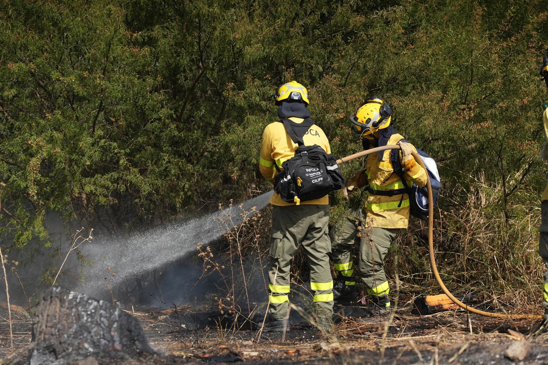 Declarado un incendio forestal en Nerja con ocho medios aéreos y más de 80 terrestres desplegados