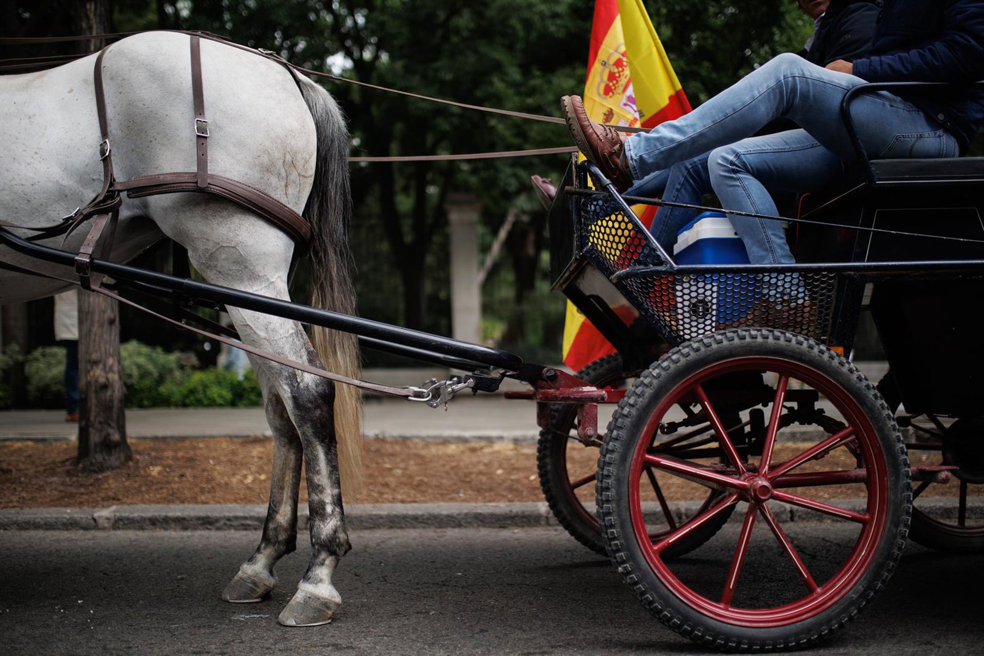 Dos mujeres heridas leves al volcar un coche de caballos tras desbocarse en Fuengirola