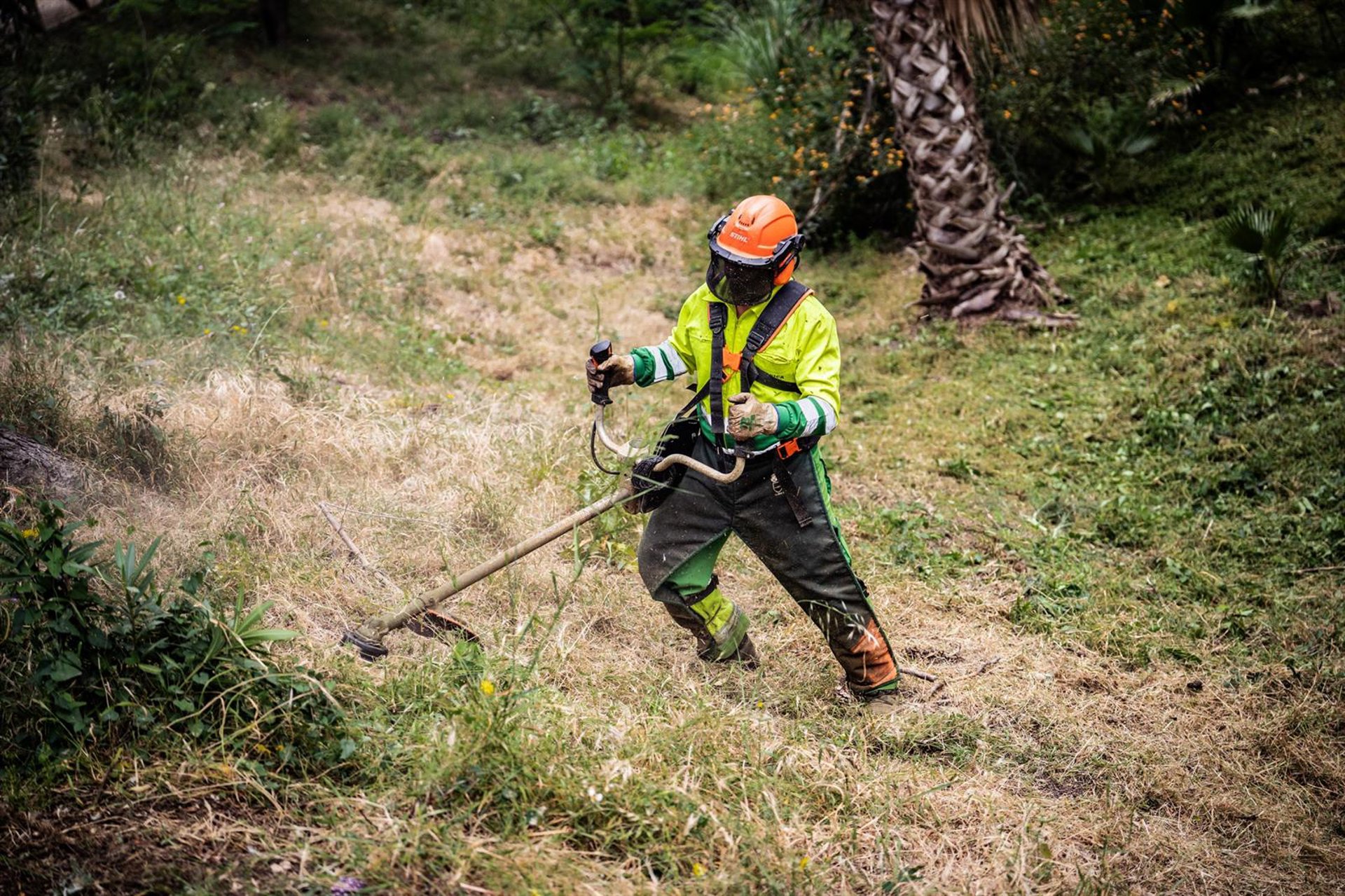 El Ayuntamiento de Málaga acomete trabajos de prevención de incendios en parques forestales y periurbanos