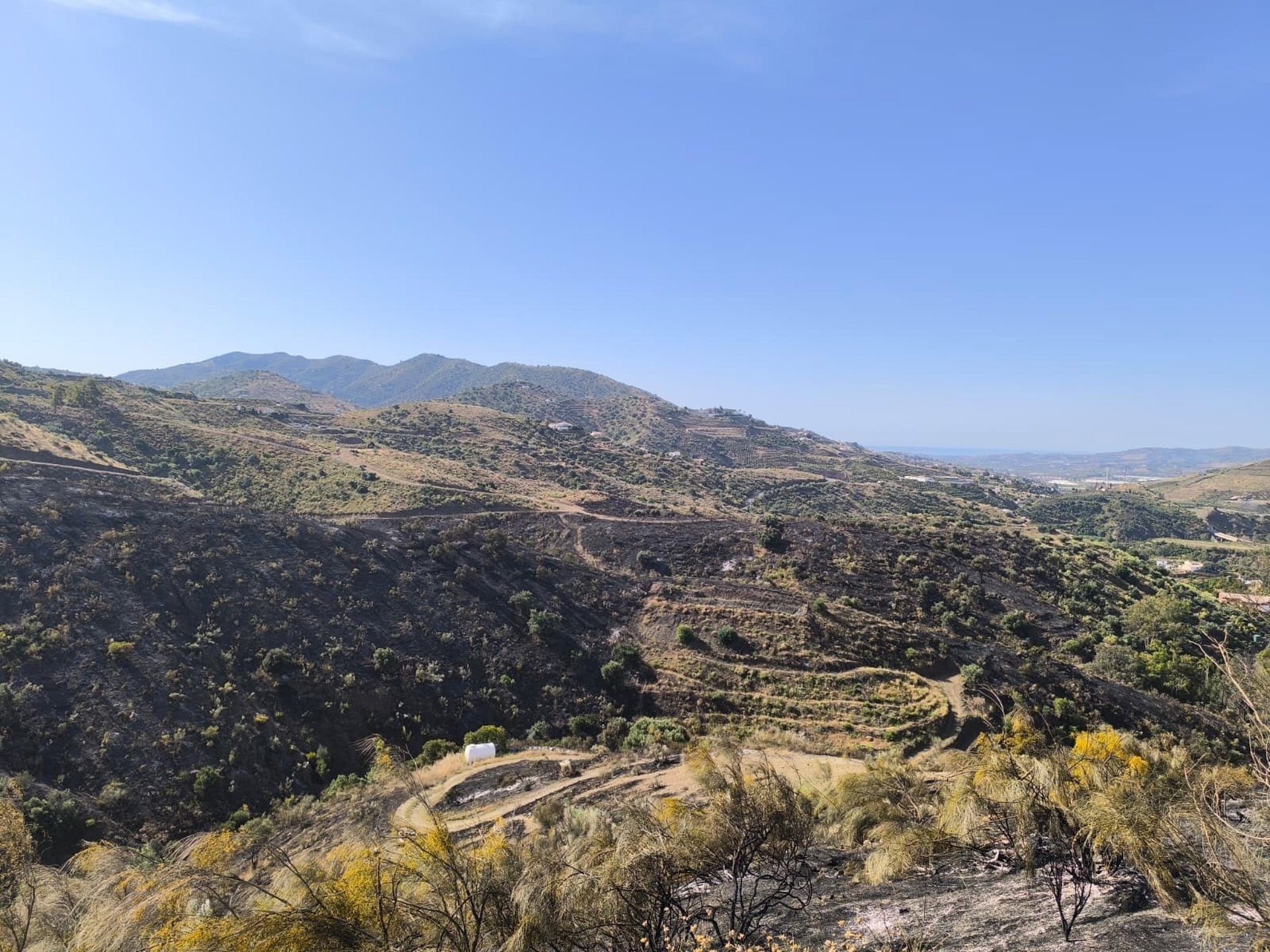 Extinguido el incendio declarado este pasado jueves en un paraje de Canillas de Aceituno