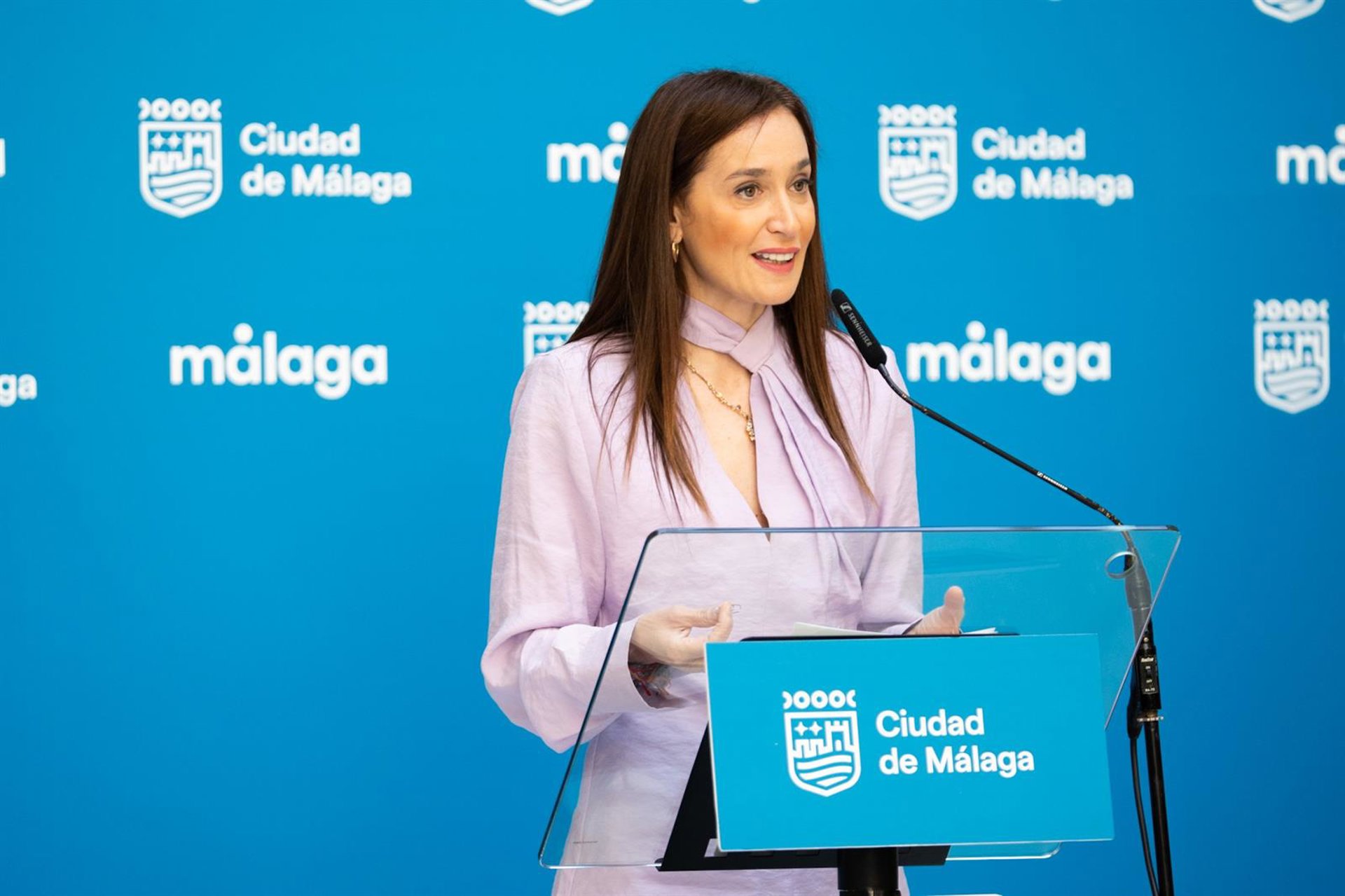 Luz verde a la modificación de la ordenanza del Servicio Público de Transporte