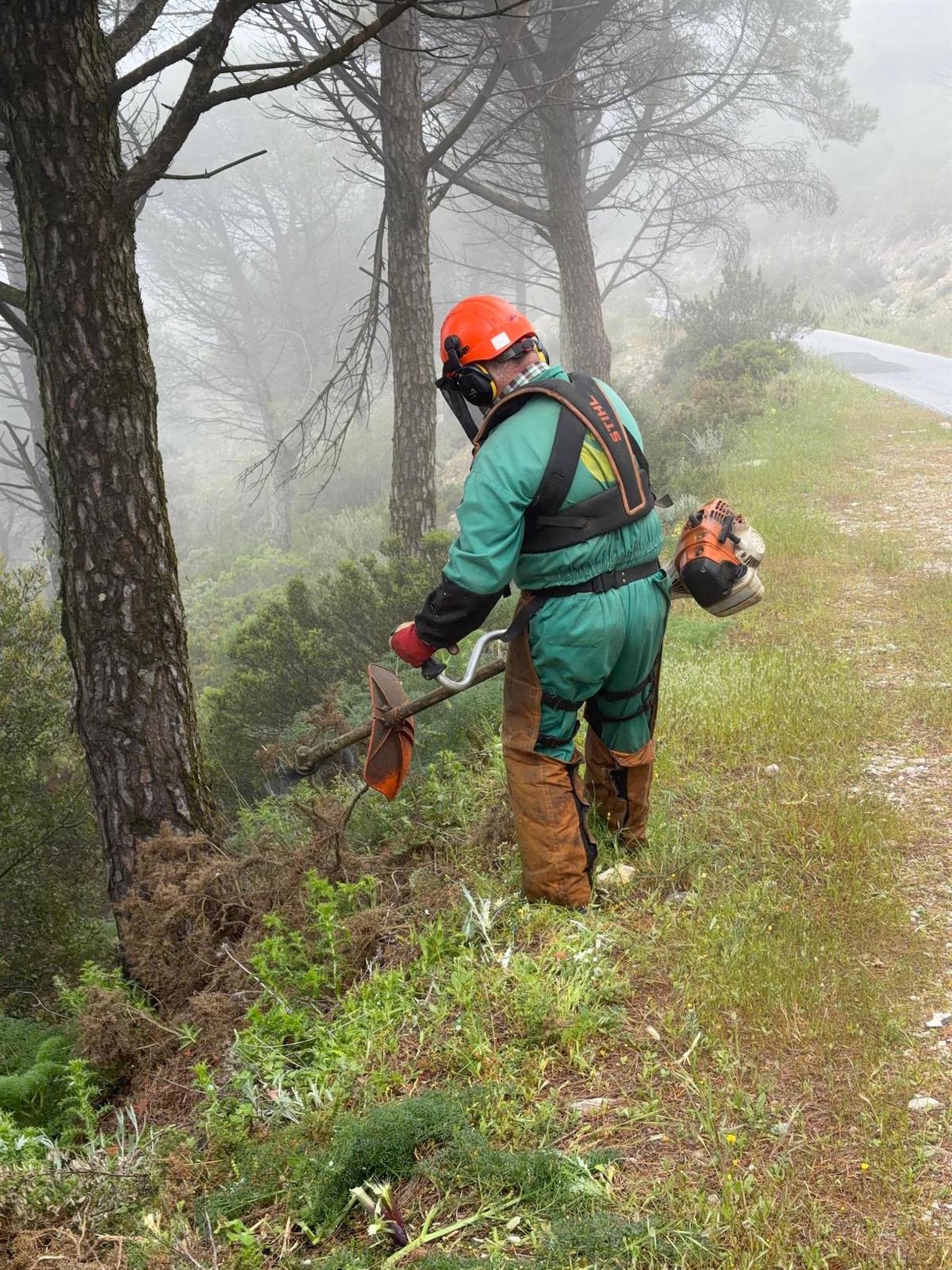 Mijas intensifica la poda, desbroces y clareos en la sierra antes de la temporada de riesgo alto de incendios