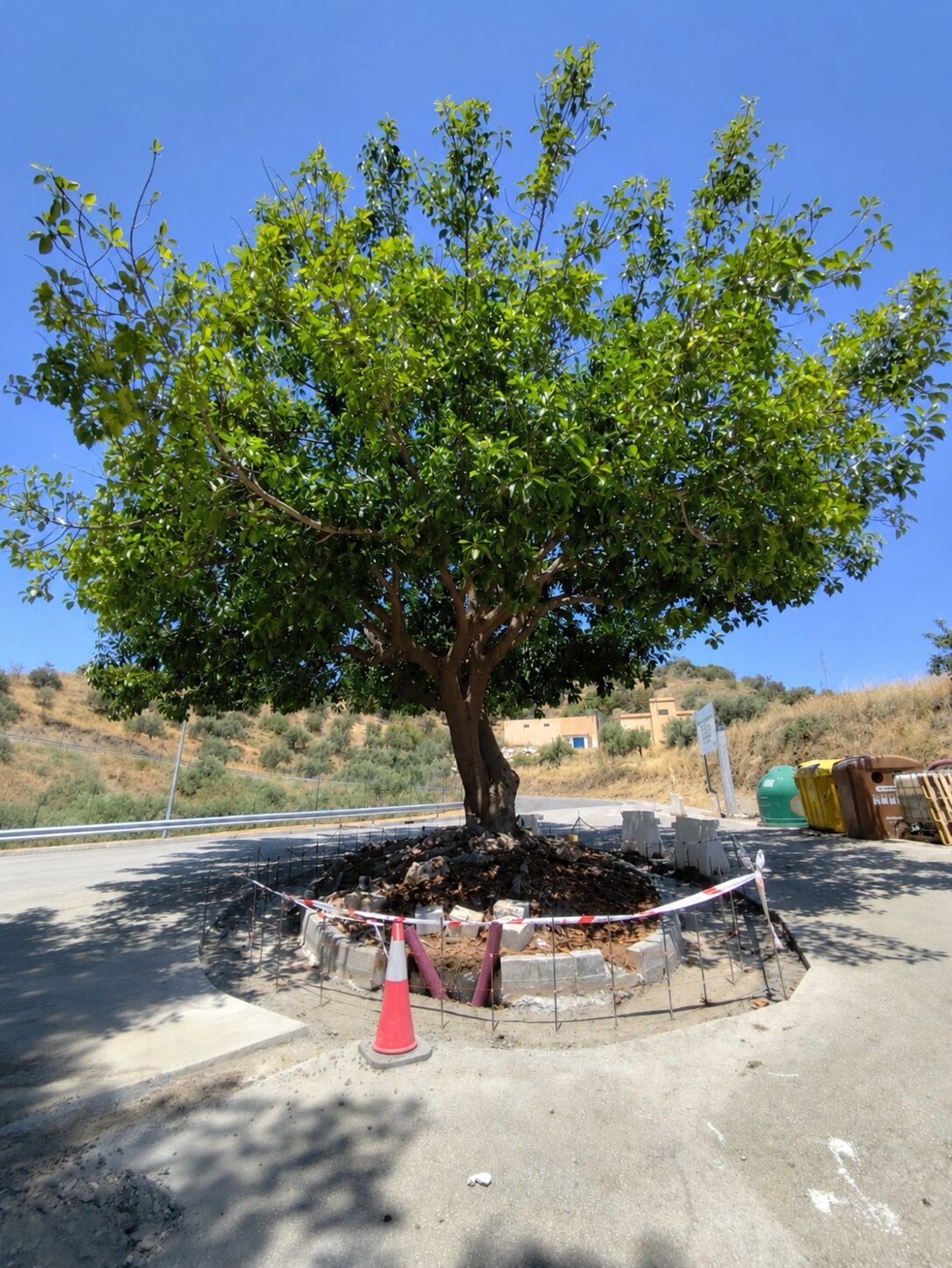 Ayuntamiento de Rincón de la Victoria ejecuta obras de ampliación de acerado entre calle La Loma y Benagalbón
