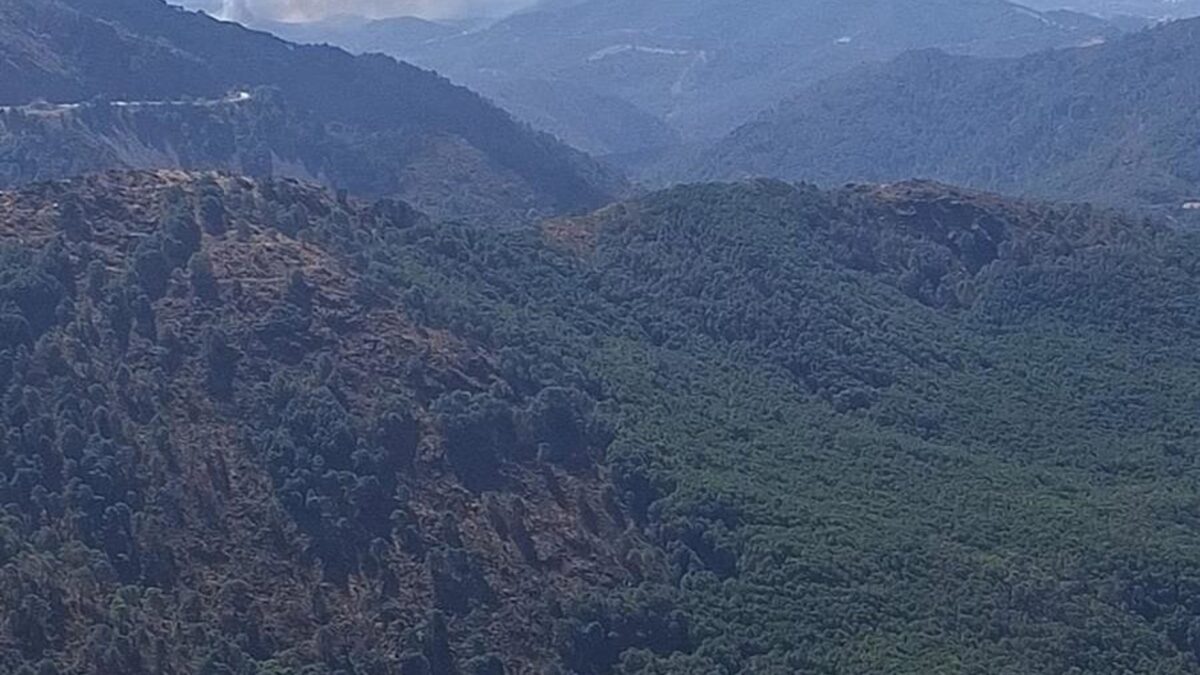 Declarado un incendio en el paraje Ermita del Rosario de Benahavís que moviliza a cuatro medios aéreos