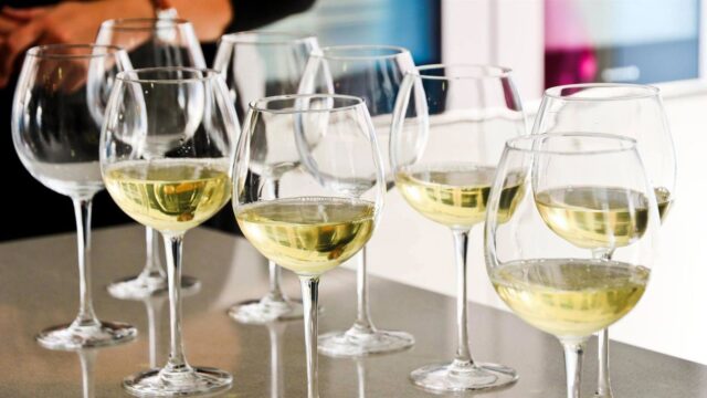 Diputación convoca los 12 Premios a Mejores Vinos con DOP Málaga y Sierras de Málaga, dotados casi 30.000 euros