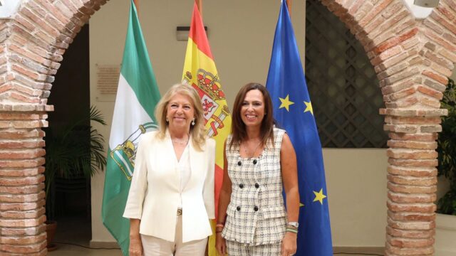 El Ayuntamiento de Marbella llevará a un pleno extraordinario la aprobación definitiva de su PGOM