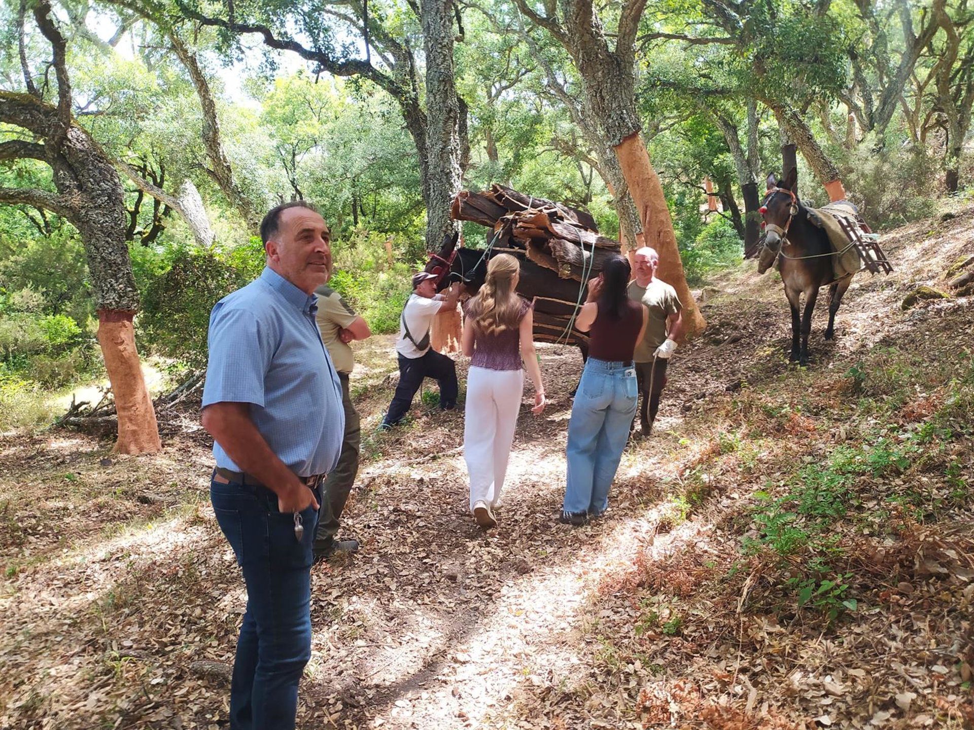 El Ayuntamiento de Ronda inicia la saca del corcho en sus montes y se prevé casi 490 toneladas