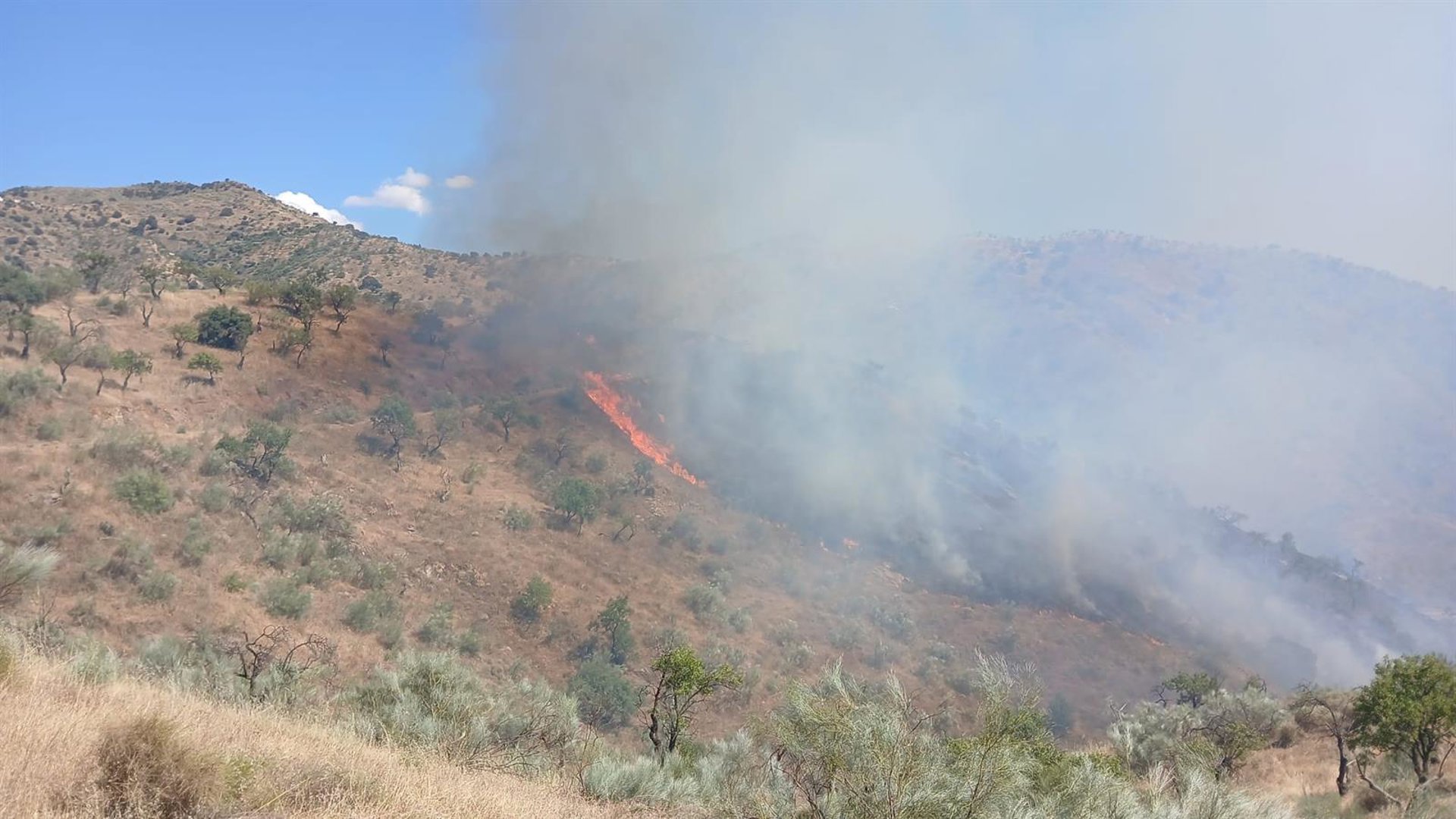 Estabilizado el incendio en un paraje de Casabermeja