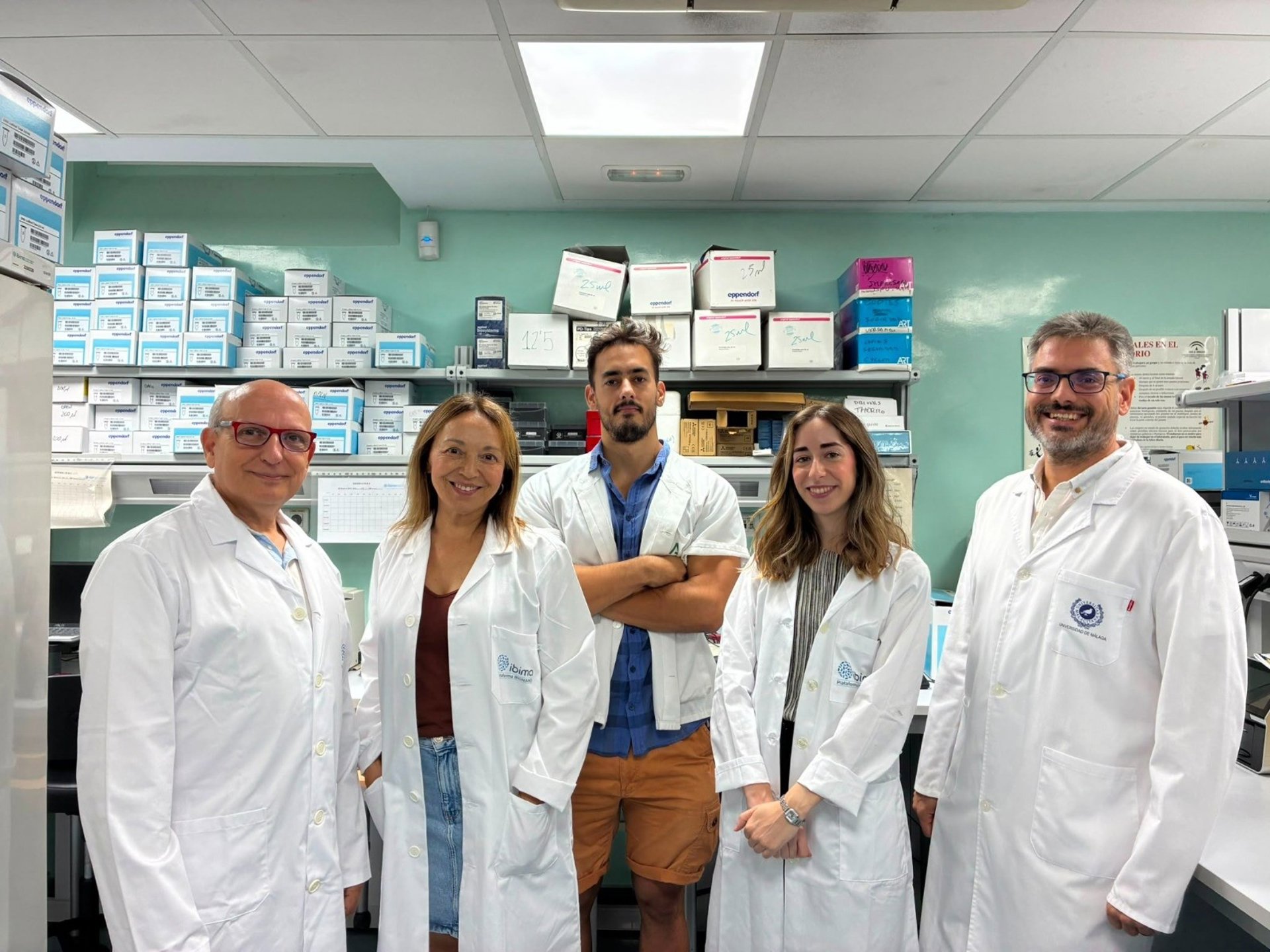 Investigadores identifican un compuesto natural que mejora la memoria en modelos de alzhéimer