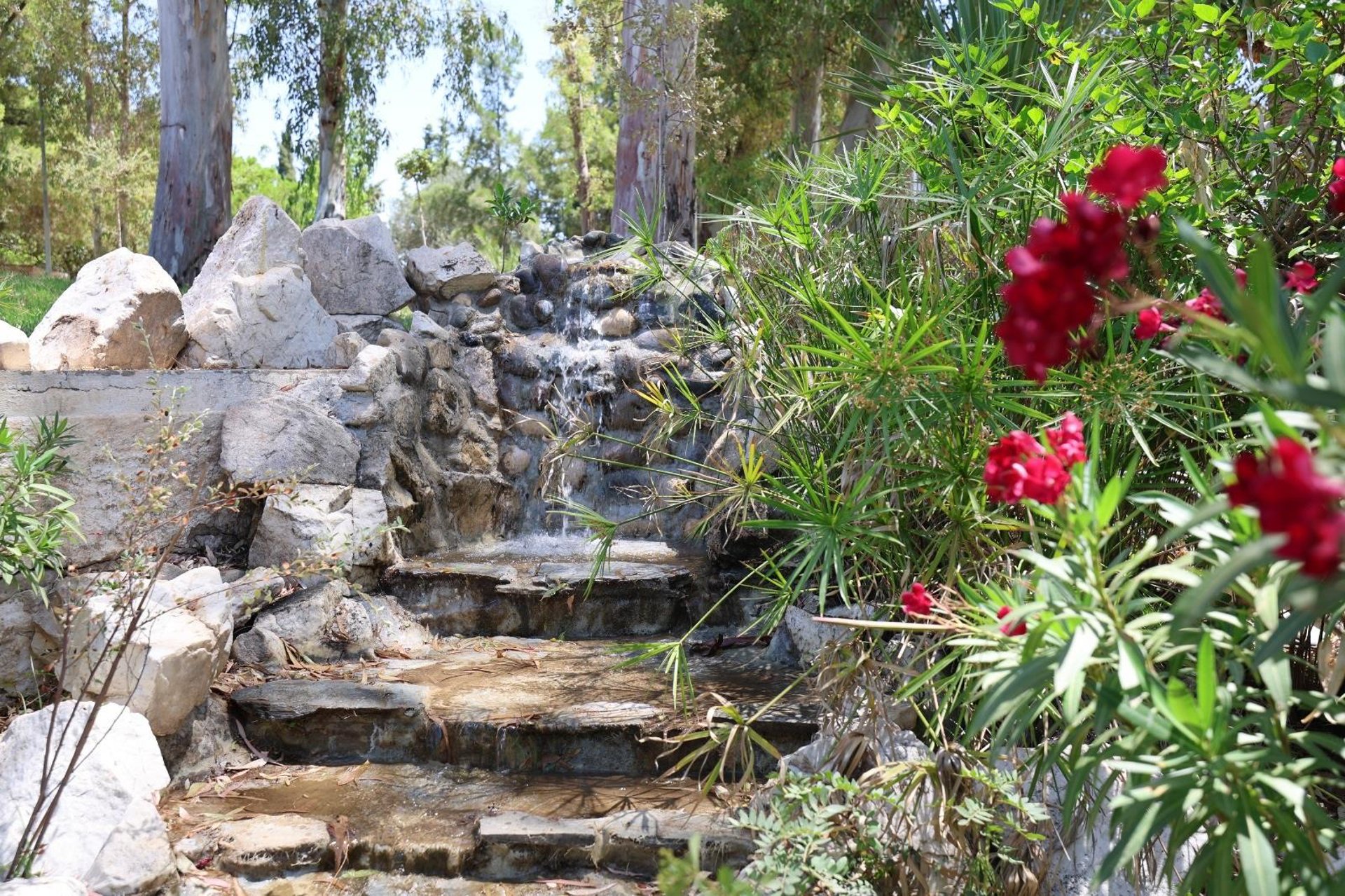 La Noria de Diputación recrea un refugio bioclimático acuapónico en sus jardines