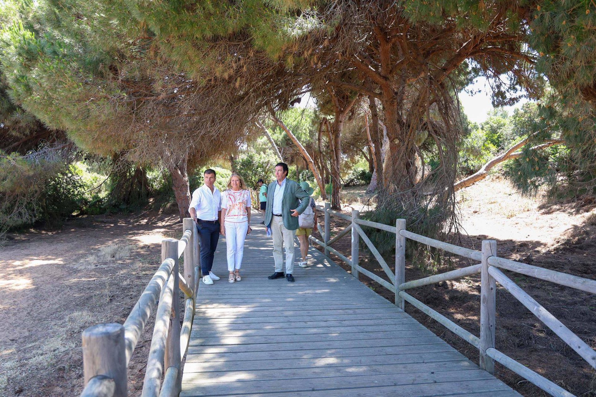 Marbella renueva 1.250 metros cuadrados de pasarela en las Dunas de Artola para conservar el espacio protegido