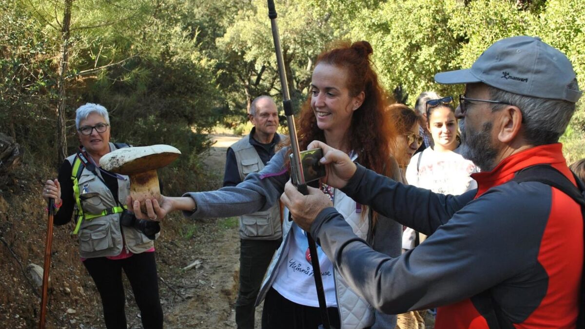 Monda volverá a ser en noviembre el epicentro de la micología en la Sierra de las Nieves con sus jornadas