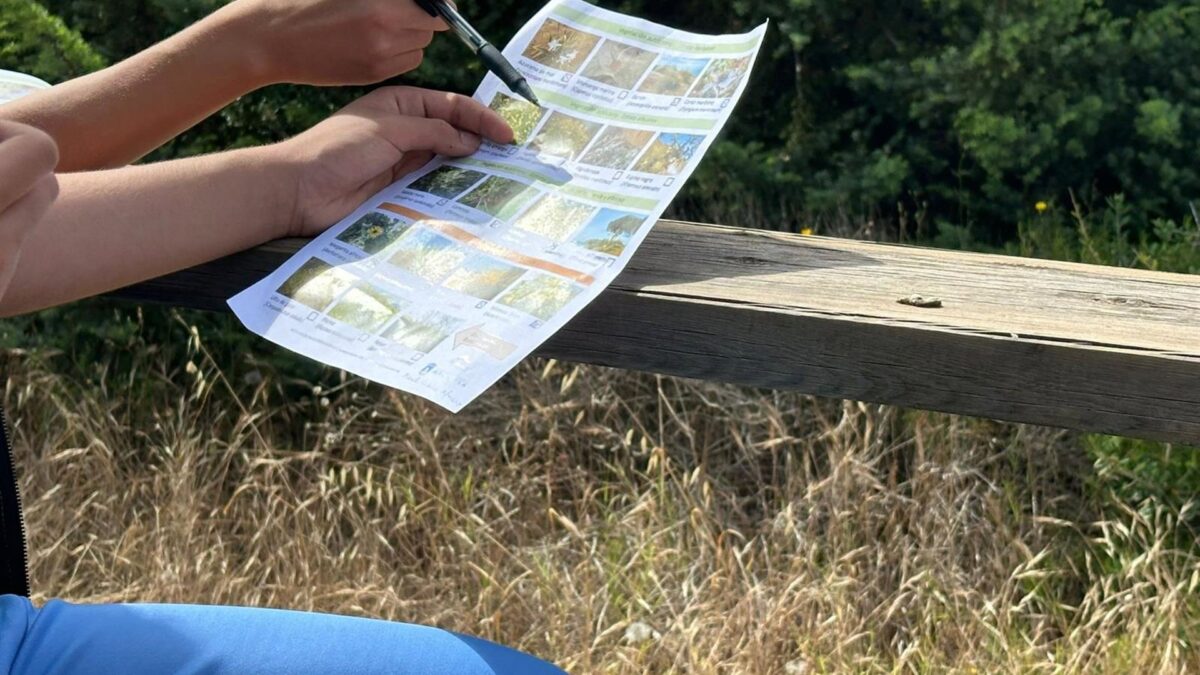 ProDunas Marbella inicia el curso escolar con una nueva propuesta de educación ambiental