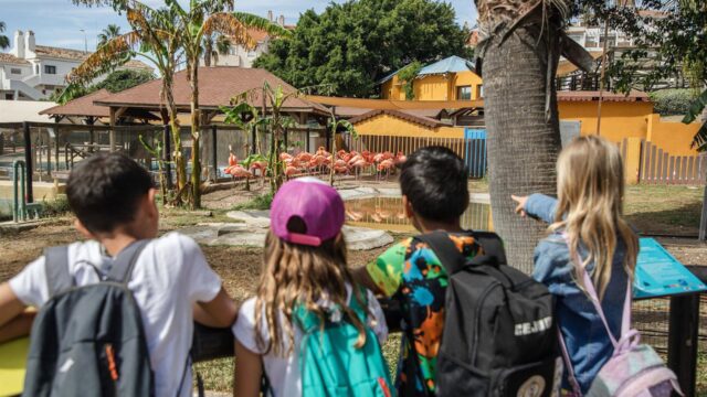 Selwo lanza su oferta escolar para la comunidad educativa con más talleres de carácter lúdico