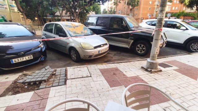 Vox reclama revisar todo el arbolado de Torremolinos tras la caída de un árbol en la Avenida de Sorolla