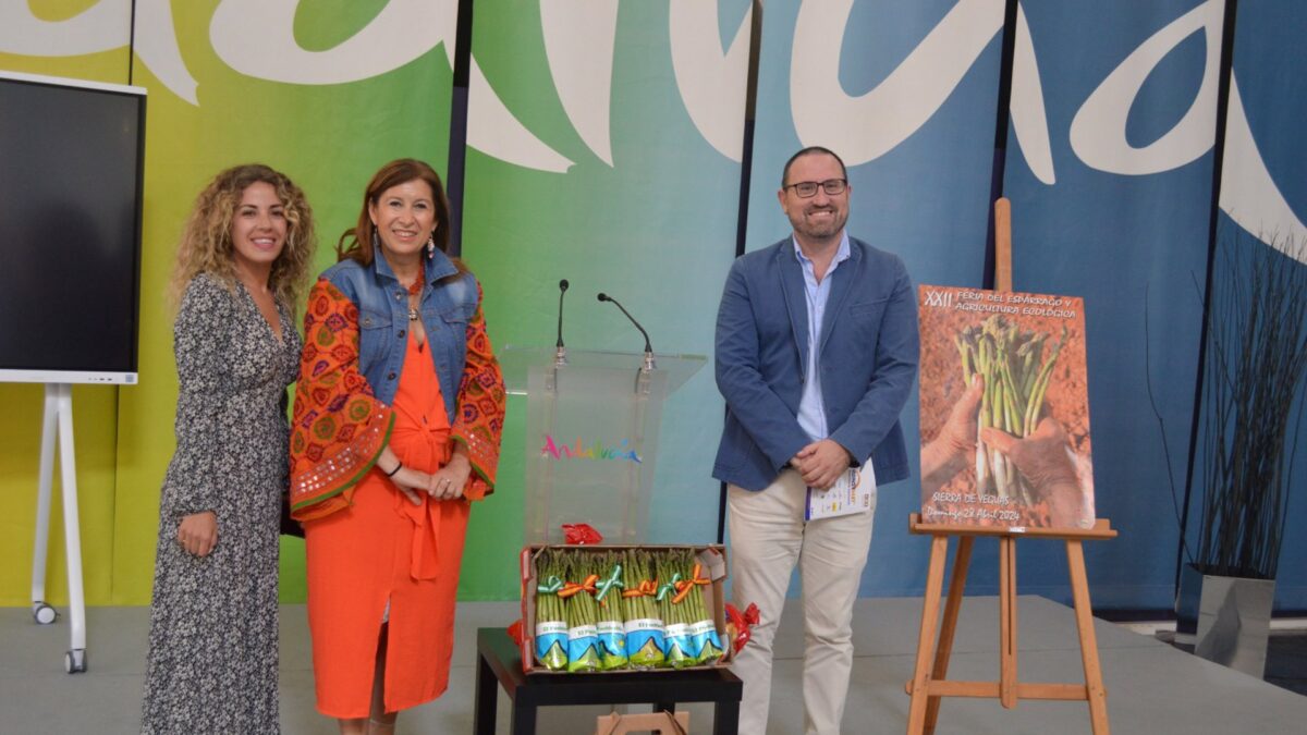 Sierra de Yeguas acoge la XXII edición de la Feria del Espárrago el próximo fin de semana