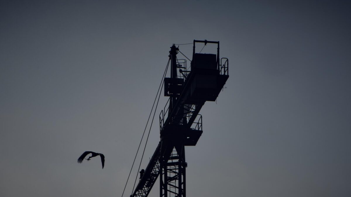 Urbanismo concede licencia a Lagoom Living para construcción de 530 viviendas protegidas en sector Universidad