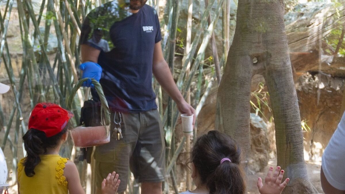 Bioparc Fuengirola invita a descubrir las selvas tropicales con una amplia programación de verano