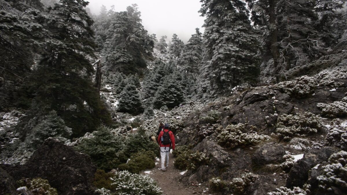 El Consejo de Gobierno aprueba el decreto de creación del Espacio Natural Sierra de las Nieves