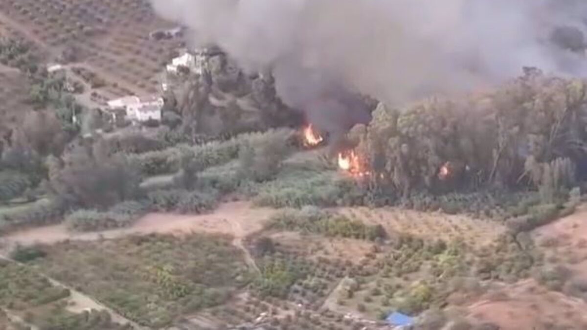 El Infoca tiene estabilizado un incendio declarado este miércoles en el paraje 'Río Grande' de Guaro