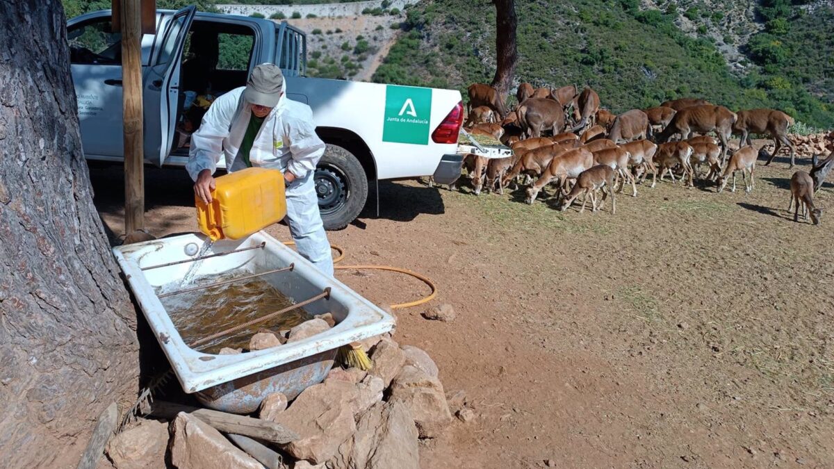 La Junta destina cerca de 30.000 euros al bienestar de los animales de la reserva de Ojén