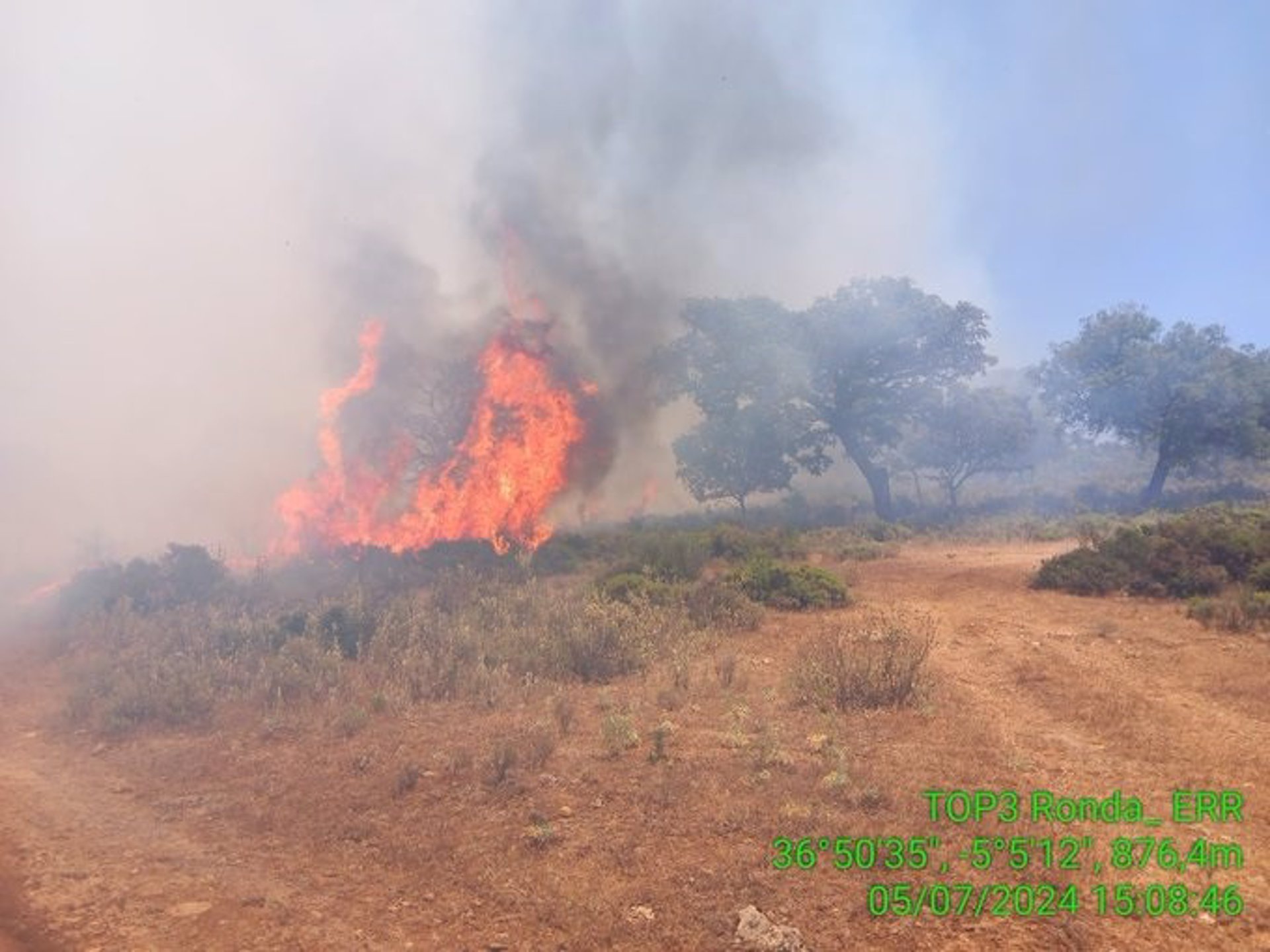 Declarado un incendio forestal en Ronda