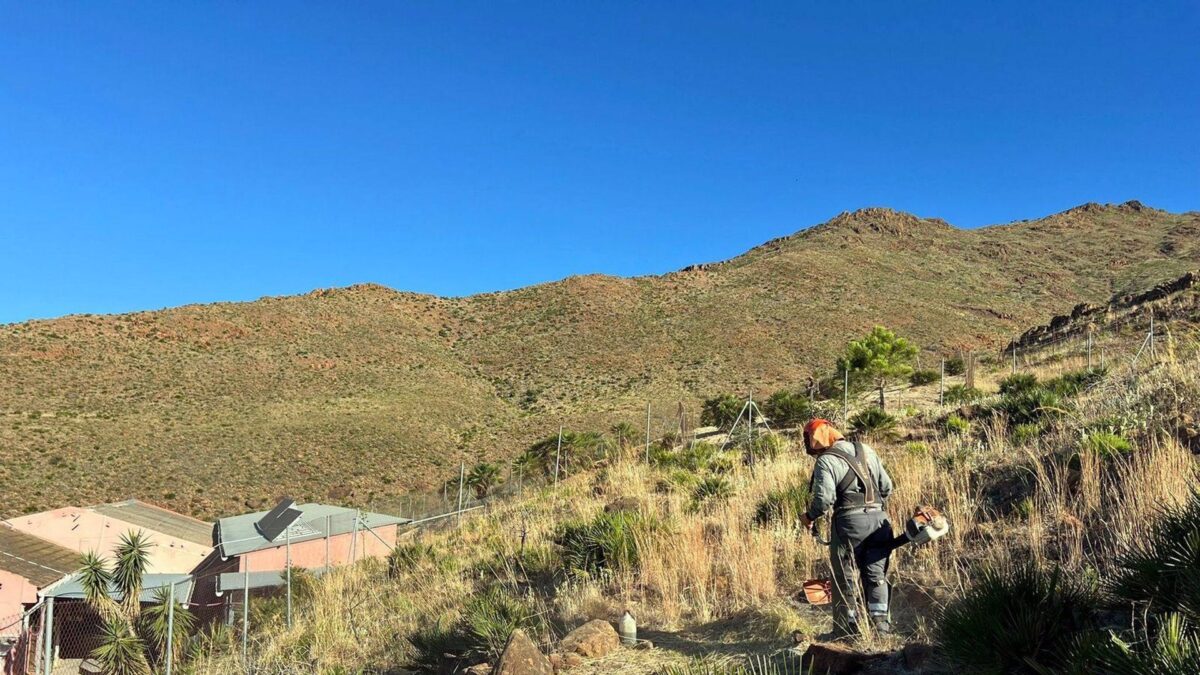 El Ayuntamiento de Estepona realiza la limpieza y desbroce de 94 kilómetros de caminos rurales y parcelas
