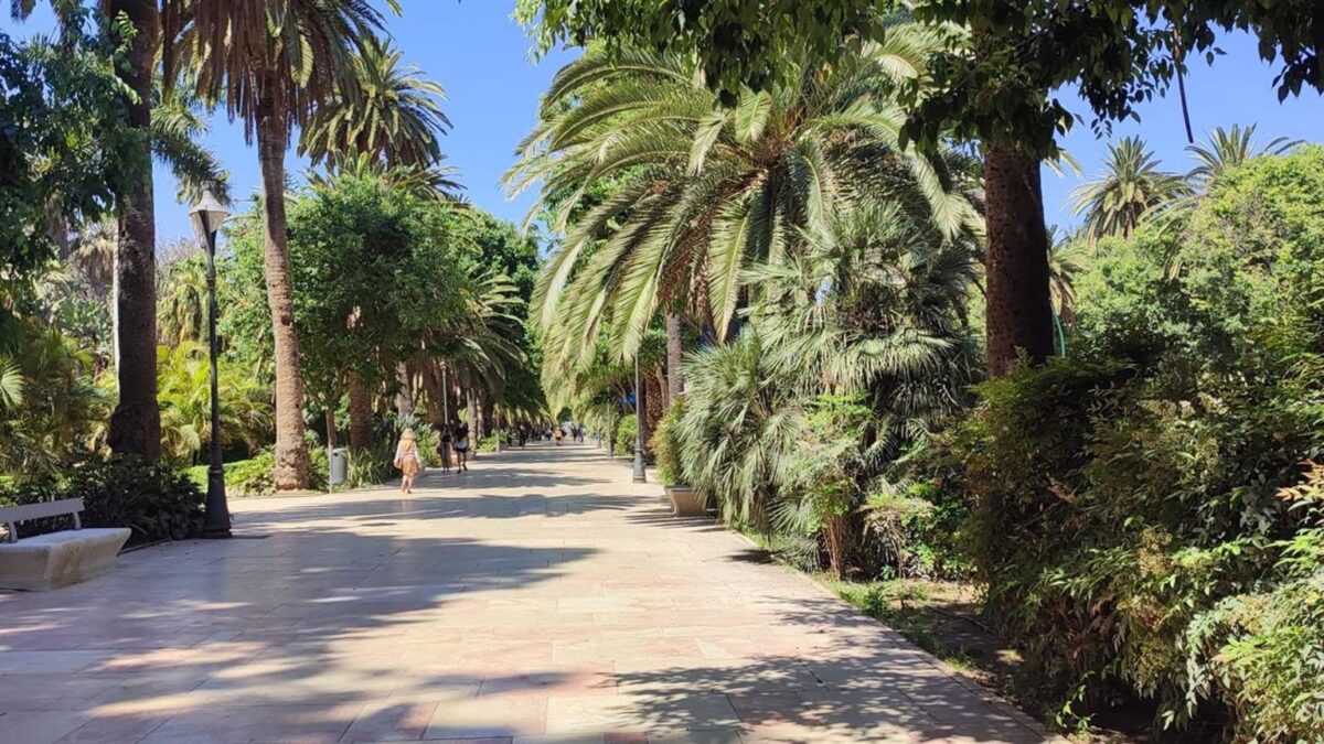 El Ayuntamiento de Málaga contrata el servicio de control de plagas tras la renuncia de la adjudicataria