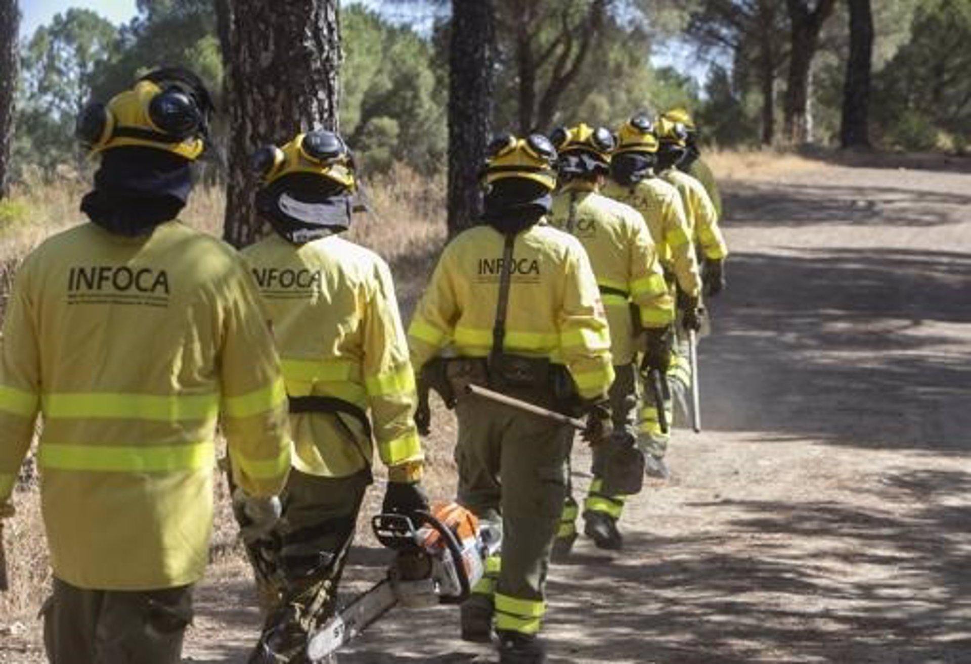 Extinguido el incendio forestal declarado este pasado viernes en Ronda
