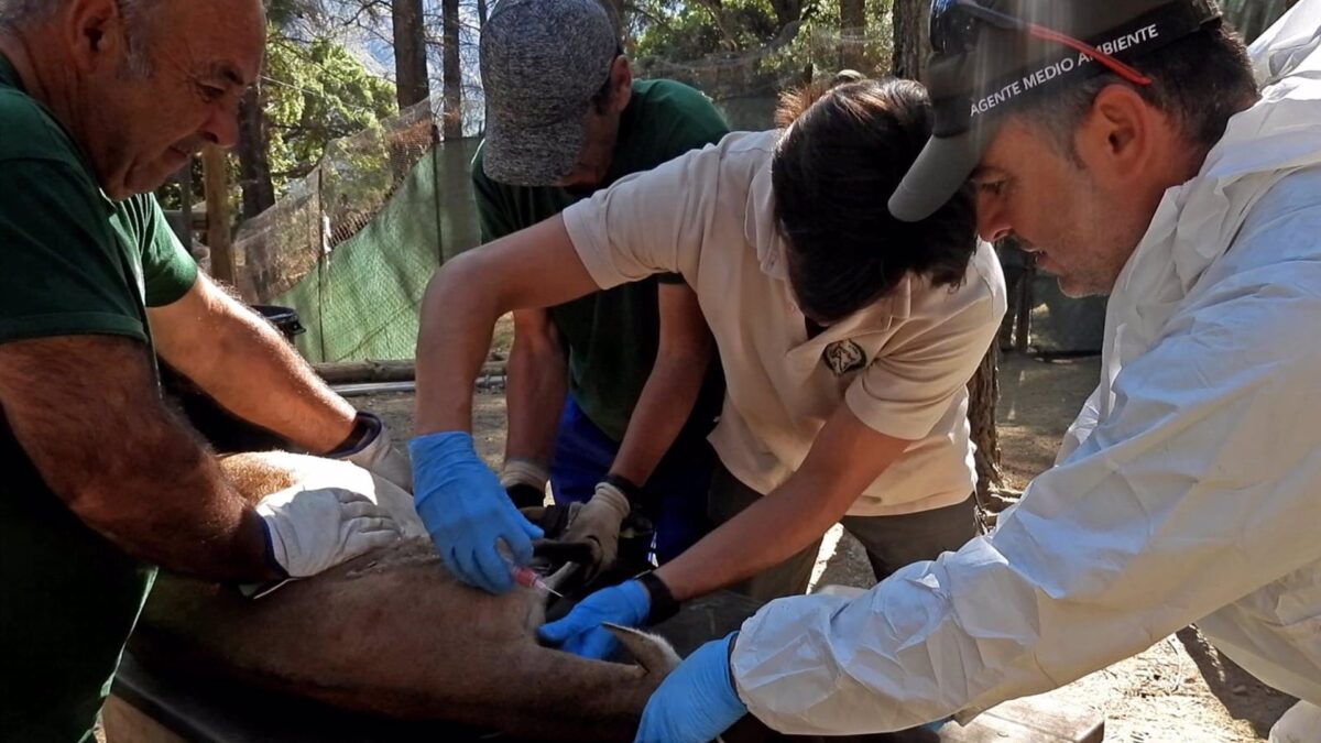 La Junta inicia un plan de acción para el control sanitario en la reserva de Ojén