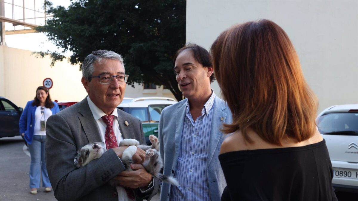 Diputación activa plan pionero en Andalucía para que los mayores adopten mascotas y mejoren su bienestar