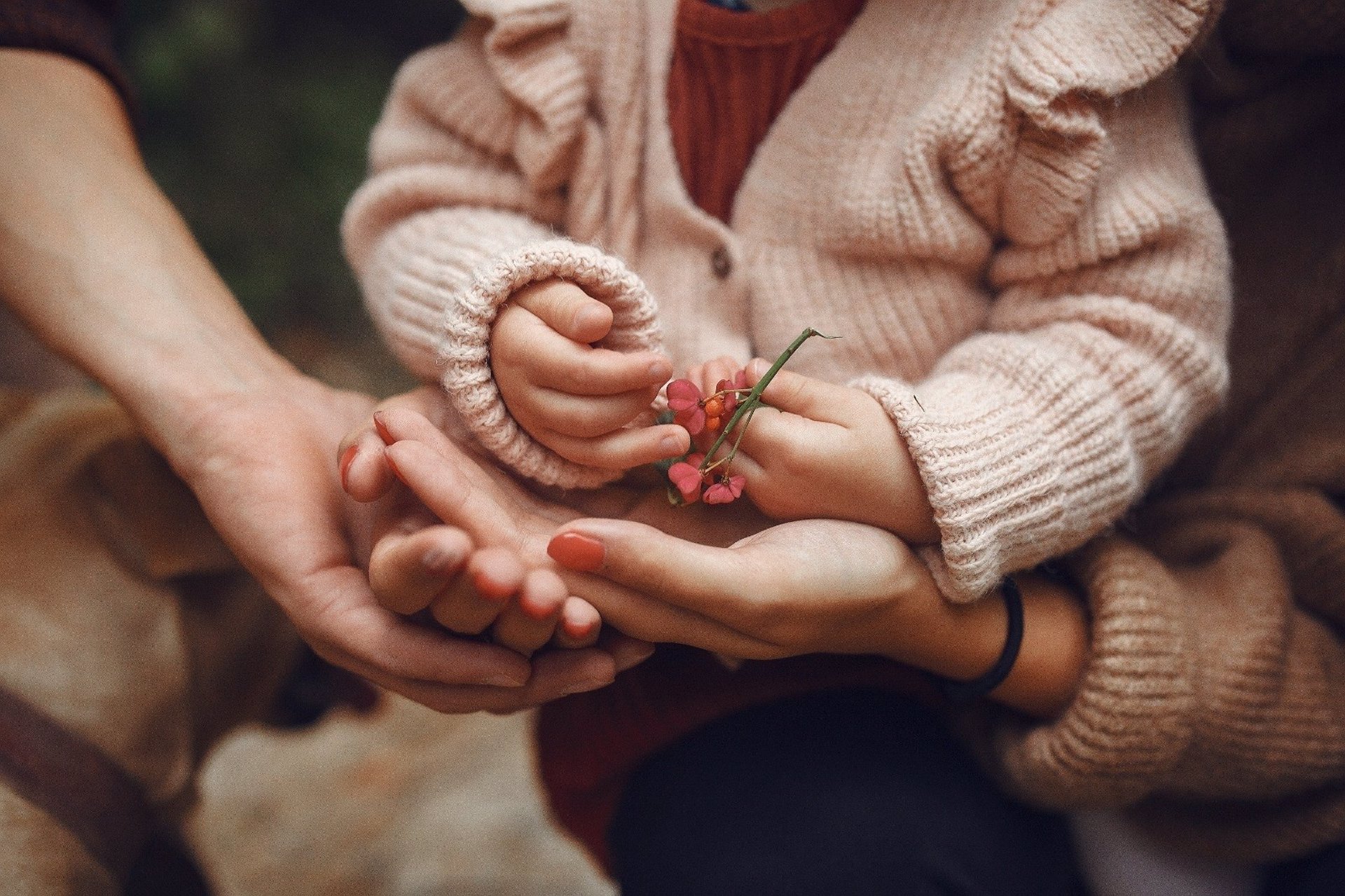 Un total de 178 familias en riesgo de exclusión social recibirán ayudas de la Diputación