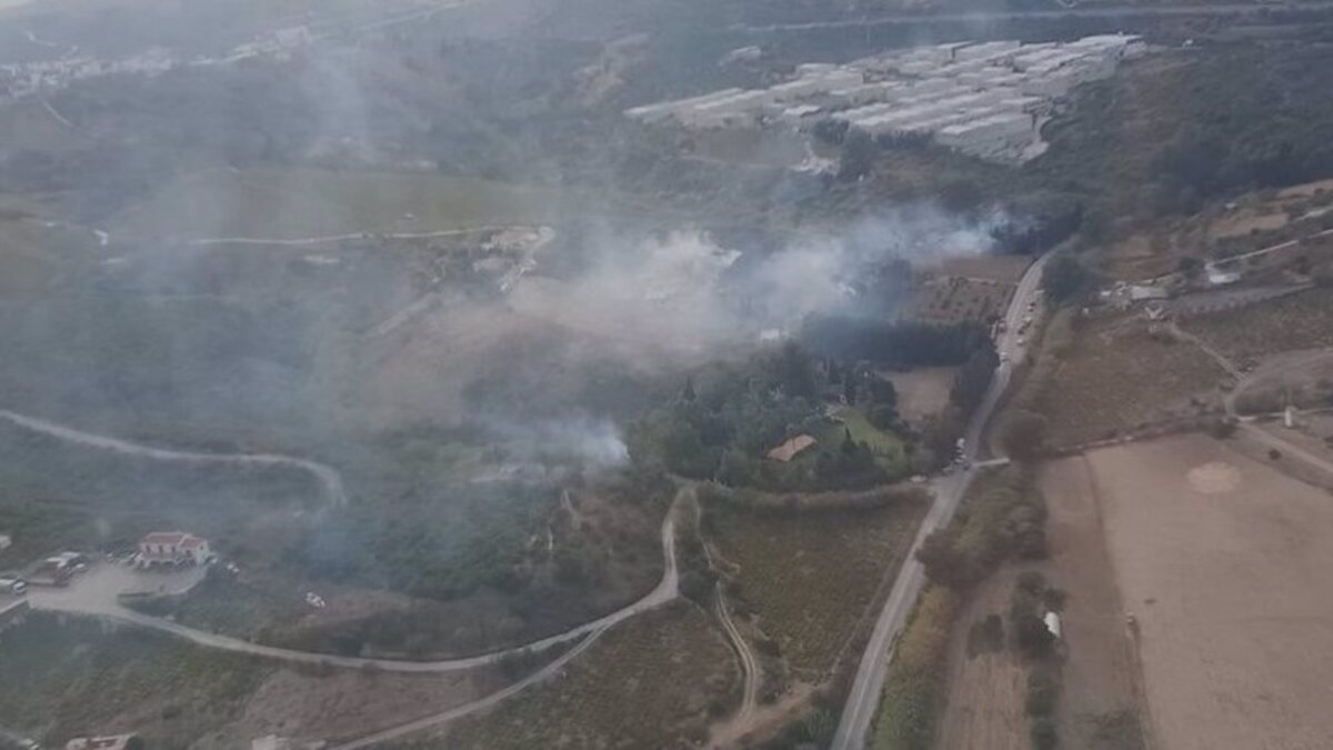 Declarado un incendio forestal en Manilva