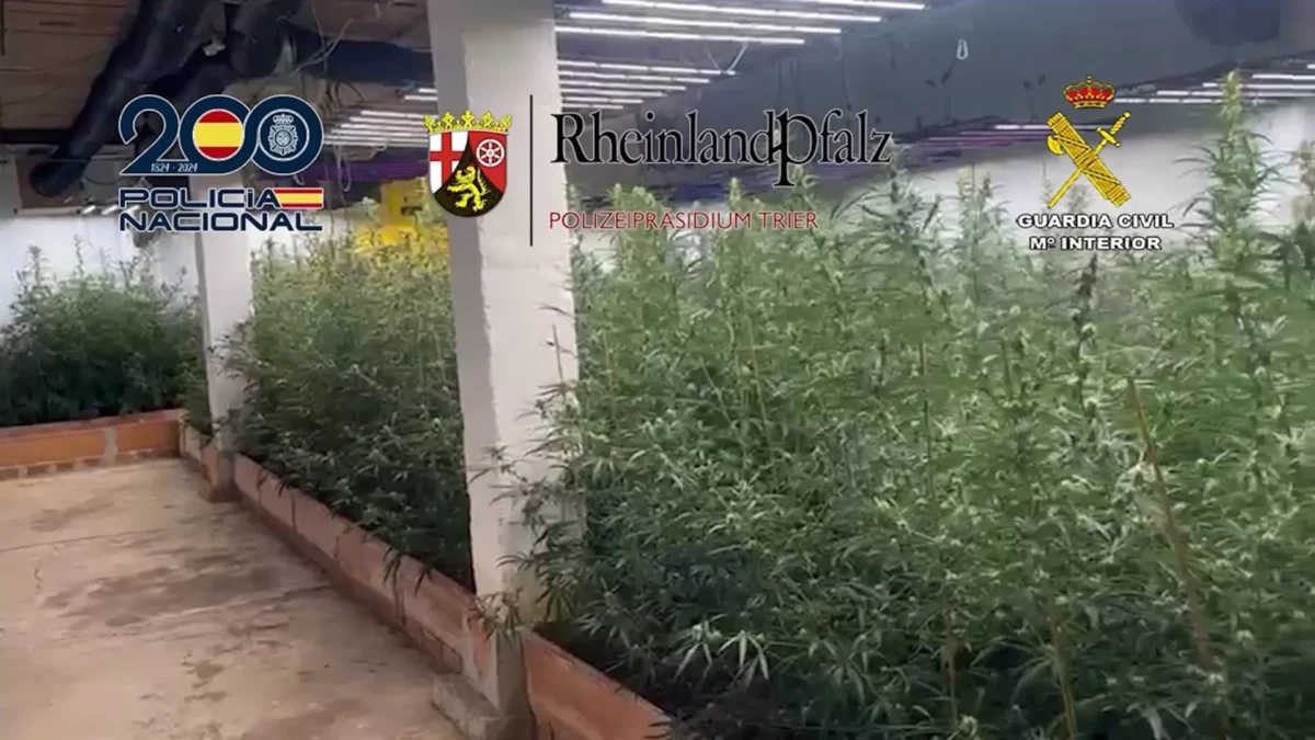 Doce detenidos por exportar gran cantidad de anfetaminas, hachís y marihuana desde Málaga a Alemania