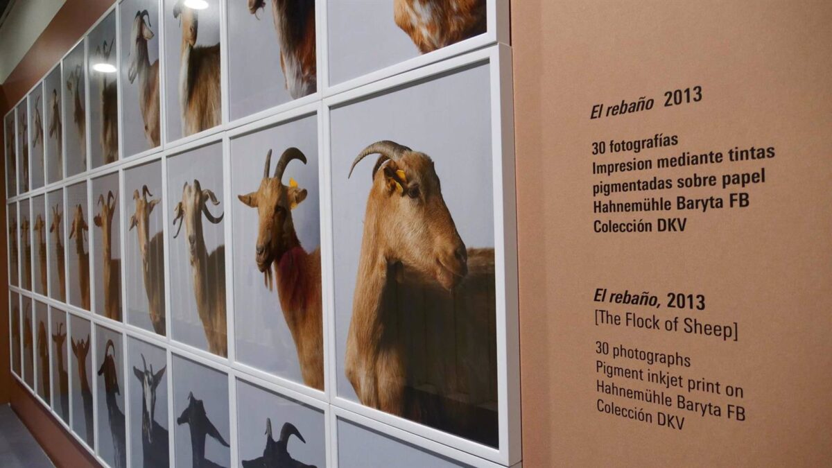 El Centre Pompidou Málaga presenta la transformación contemporánea de las zonas rurales en Hors Pistes