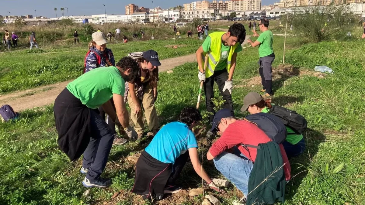 Bosque Urbano planta más de 50 árboles en la zona contigua de los terrenos de Repsol a la avenida Juan XXIII