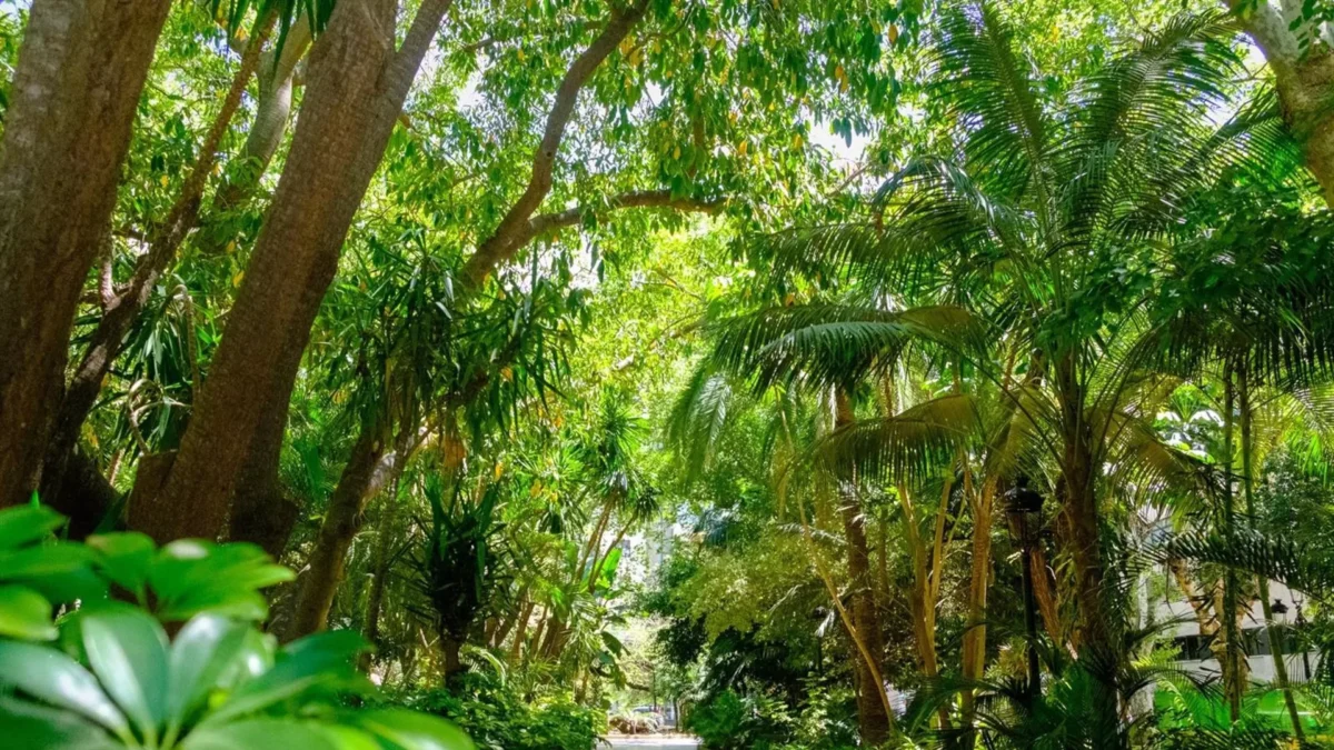 El Ayuntamiento de Marbella obtiene nuevos reconocimientos en los Premios Andalucía en Flor 2024