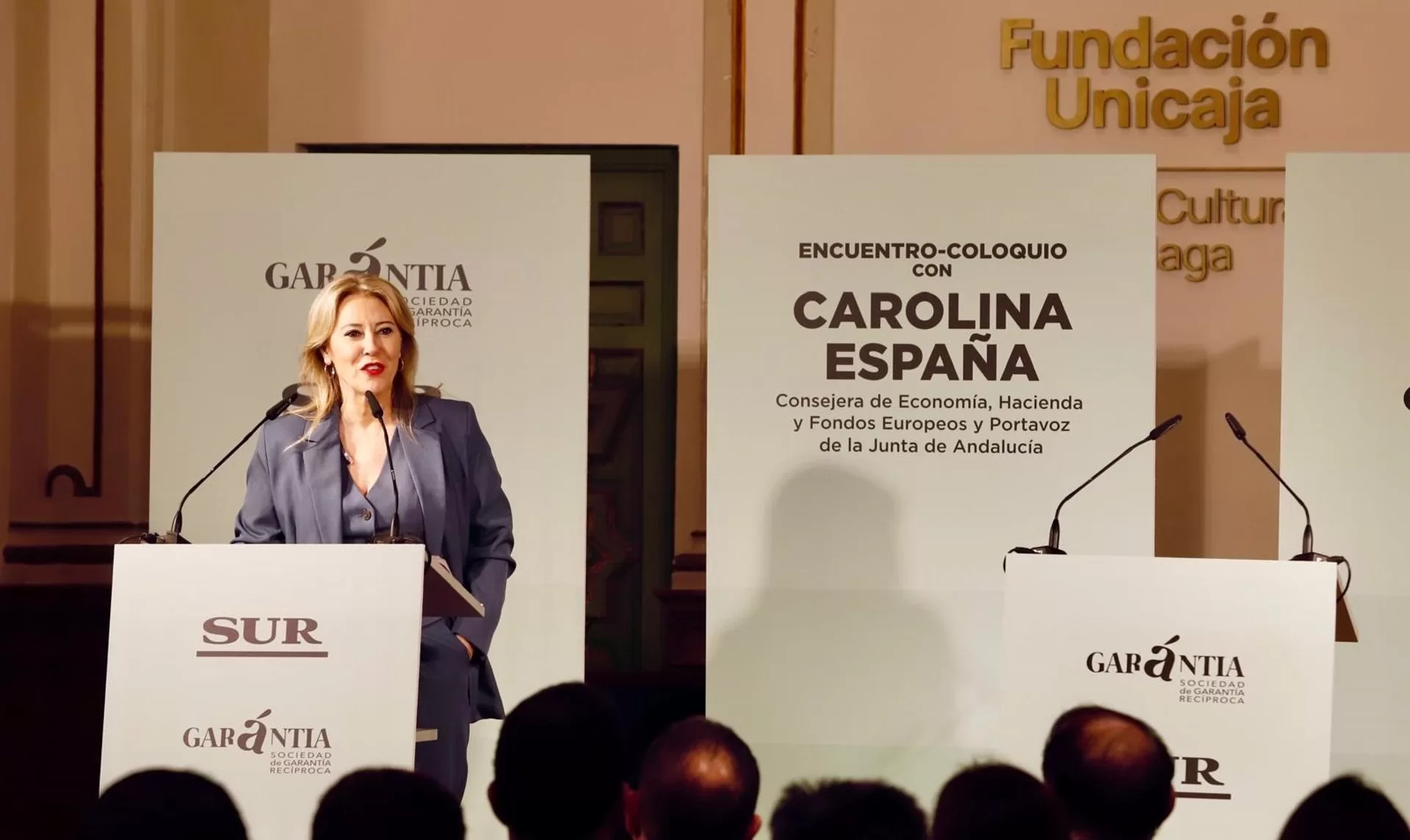El próximo Consejo de Gobierno será el lunes y aprobará una modificación para destinar 15 millones al Auditorio