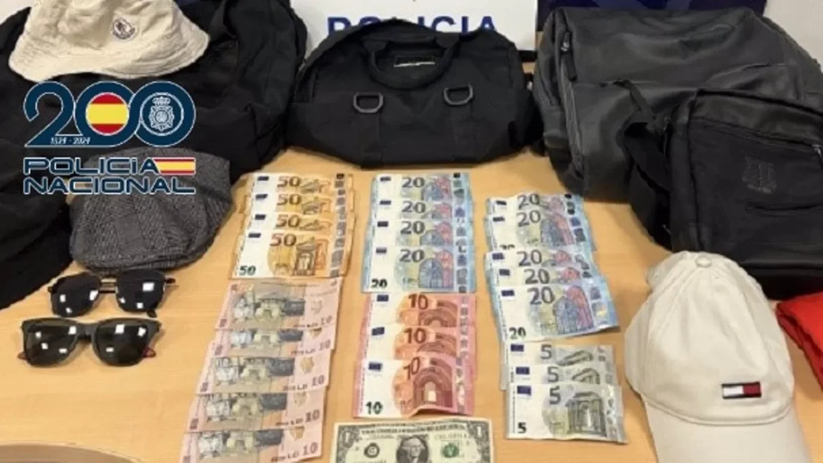 Seis detenidos tras caer grupo itinerante dedicado a hurtos a turistas en trenes de cercanías