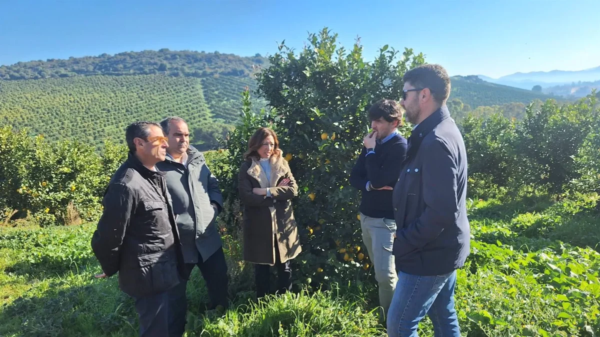 Navarro dice que la Junta defenderá "con uñas y dientes" el sector agrario frente acuerdos como el de Mercosur