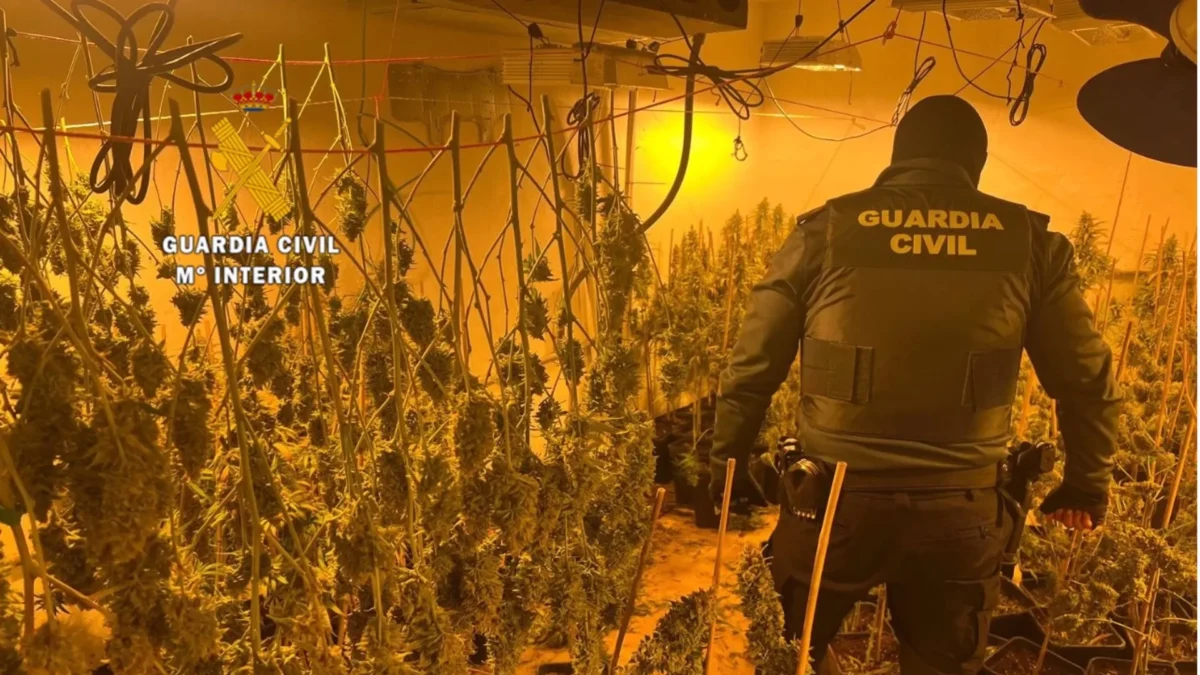 Siete detenidos al desmantelar una plantación de cultivo de marihuana dentro de una finca de Cártama