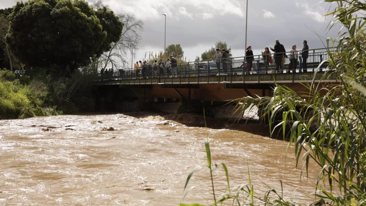 Autorizado el regreso seguro de los vecinos evacuados en la ribera del río Campanillas