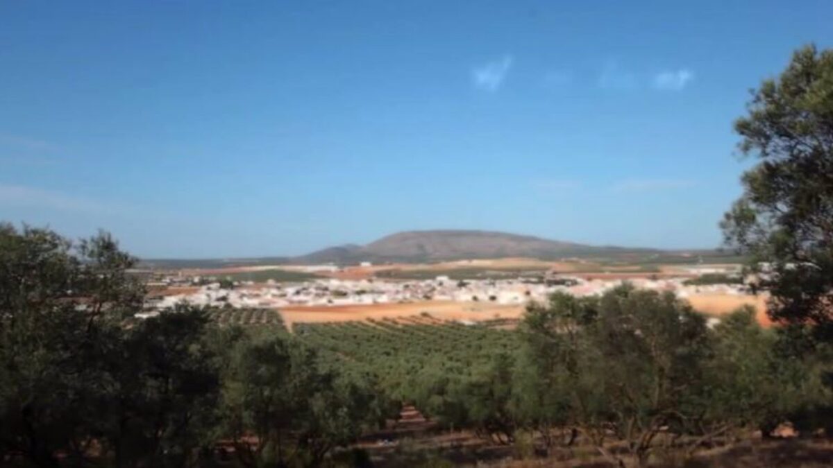 Avanza implantación de Hygreen y Sermatec, que colocará a Andalucía "en el centro de la revolución verde"