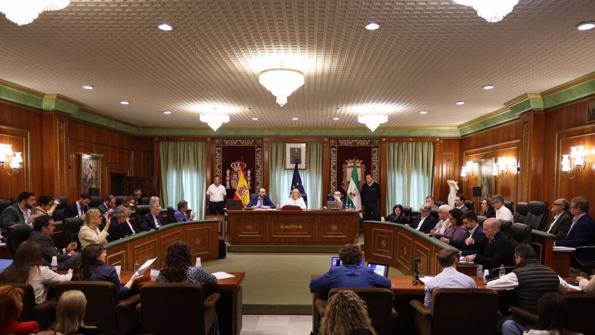 El valor del patrimonio del Ayuntamiento de Marbella aumenta en 154 millones de euros en nueve años