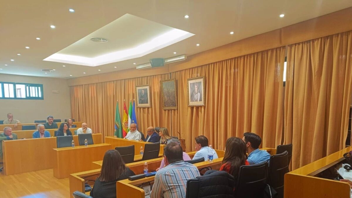 Consejo Social de Vélez consensúa destinar 50.000 euros para adquirir nuevas cámaras de video vigilancia