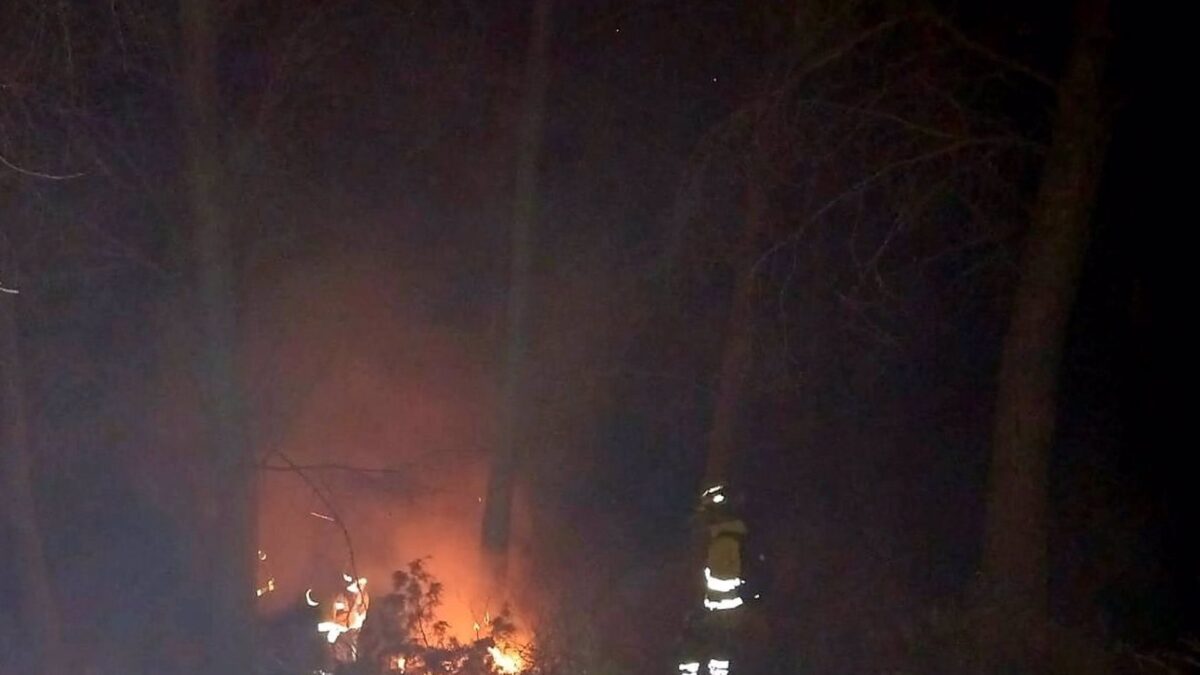 Controlado un incendio forestal en Alcaucín